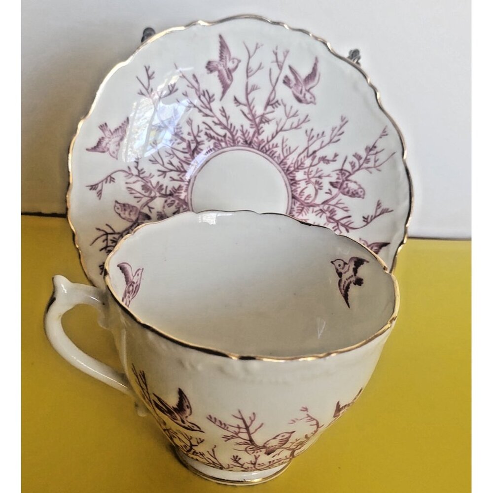 Vintage Coalport England Bird Teacup &Saucer Set 1950's